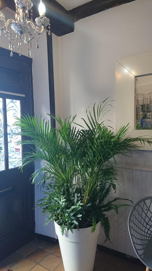 Hotel San Nikolas Sea Views Hondarribia Ngoại thất bức ảnh